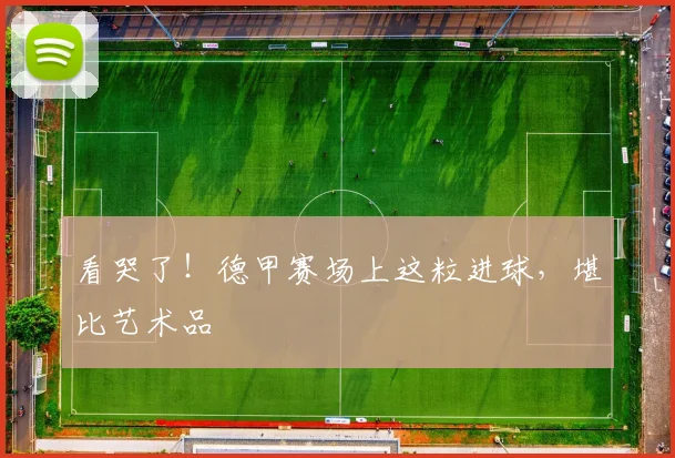 看哭了！德甲赛场上这粒进球，堪比艺术品