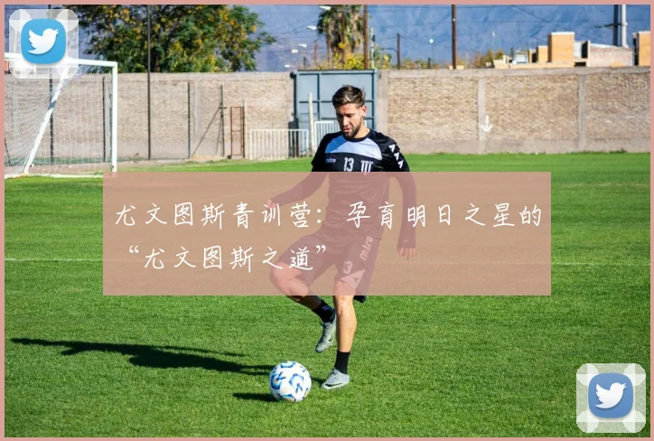 尤文图斯青训营：孕育明日之星的“尤文图斯之道”